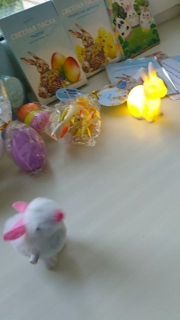 VID20250425184647.mp4