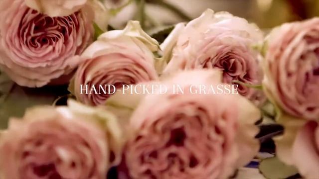 AERIN Fragrance - Rose de Grasse