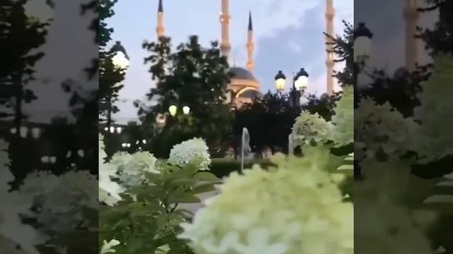 Весна в Грозном