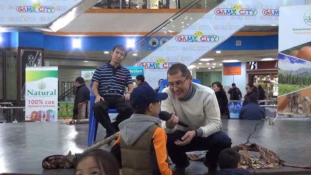 АЛМА ЭКСПО 2016, презентация Вегетарианского клуба