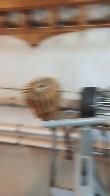 Будни столярной мастерской, точим, строгаем, режем только в путь