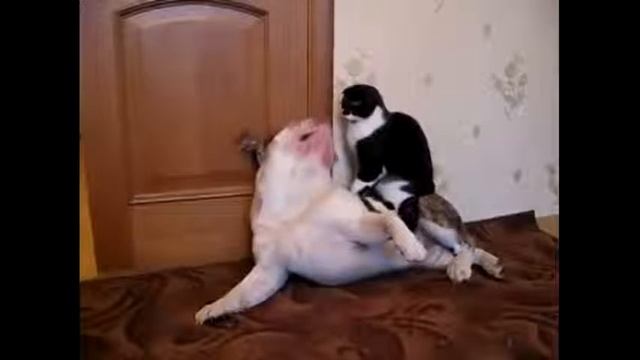 Необычные массаж