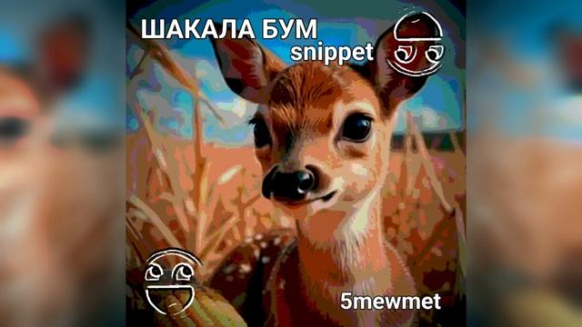 ШАКАЛА ШАКАЛА ШАКАЛА БУМ [snippet] - 5mewmet