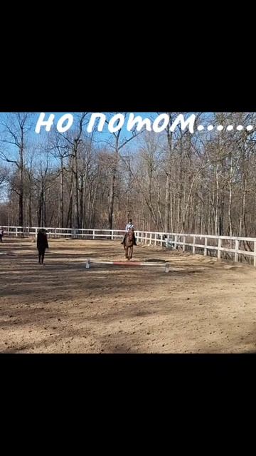 Занесло .....