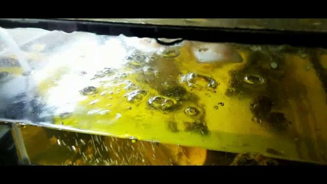 Ч 67 Аквариум Обзор