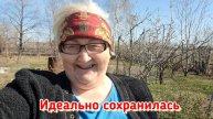 Обработка и первая подкормка клубники / Вторая подкормка тюльпанов / Я ещё тот садовод-огородарь...
