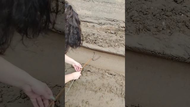 Весна! Проснулись укротительницы змей! Медной змеи хозяйка!