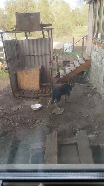 Наш Патриот!!!