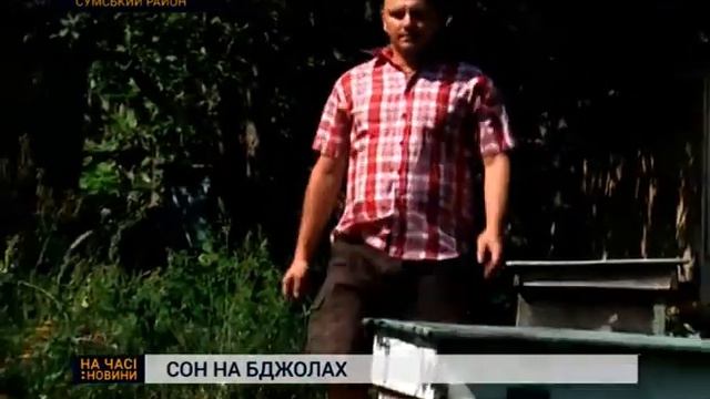 Бджоляр на Сумщині 20 років оздоровлюється завдяки сну на вуликах