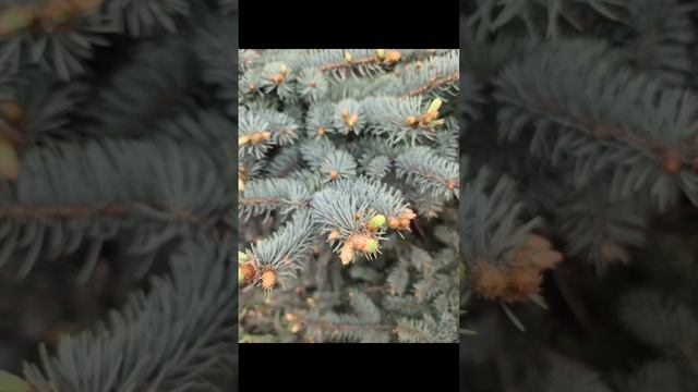 1000044486.mp4