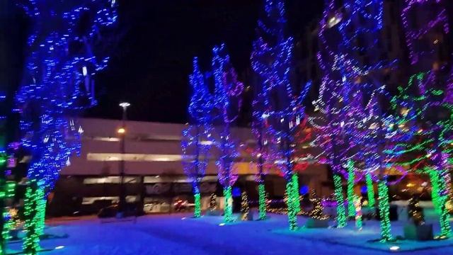 Рождественский Отпуск 4. Вечерний Колумбус❄️OHIO, 2022