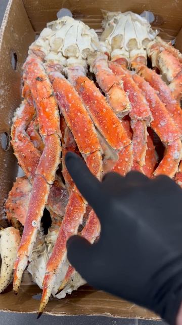 Конечности Камчатского краба