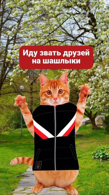 Открываем дачный сезон 🍢🍻