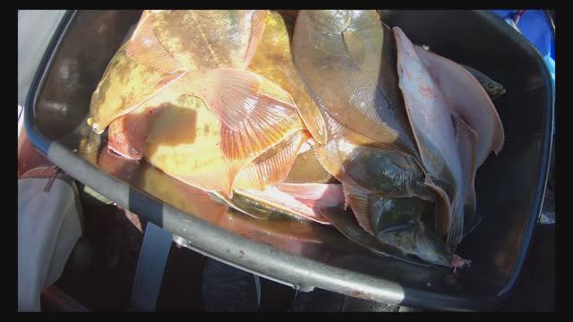 Сахалин. Залив Мордвинова 4к Финал