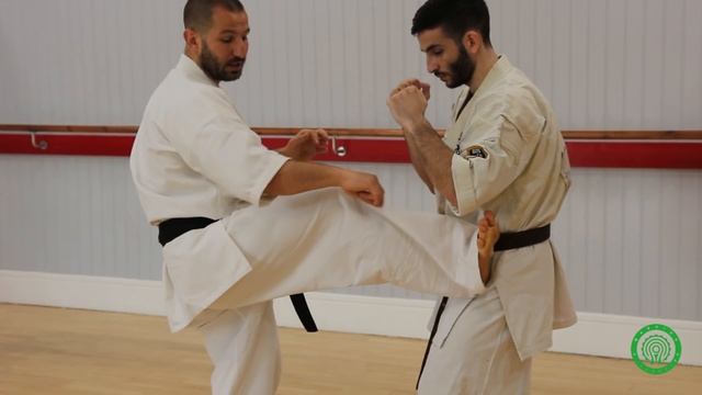 Kyokushin Karate Low Heel Kick Attacks and Combinations Tutorial