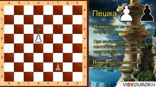 Рокировка. Шах и мат.