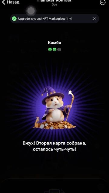 комбо карточки в Hamster kombat 13 июля