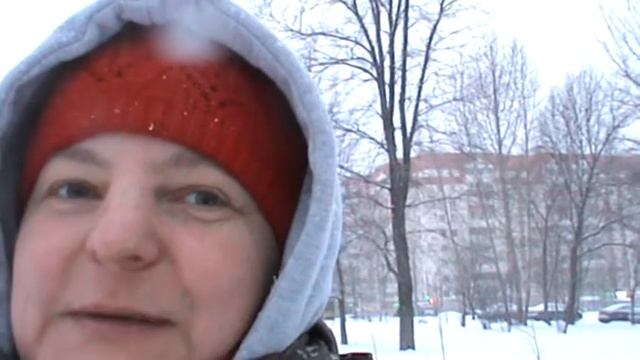 Н. А. Некрасов "Снежок" читает Любовь Ф.