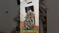Divi Trees - Новогодняя ёлка Siberia