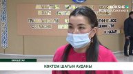 КӨКТЕМ ШАҒЫН АУДАНЫ