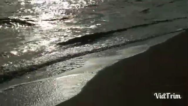 Затока Одесса зимой