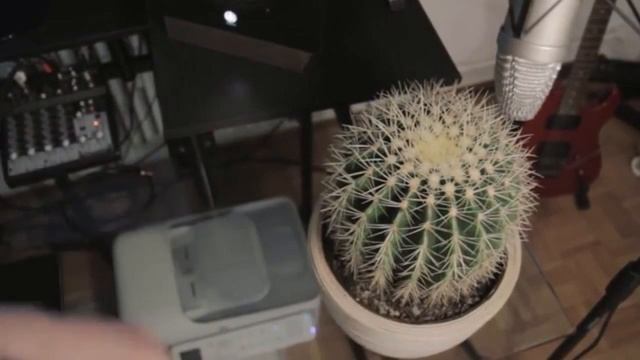 Видео 2