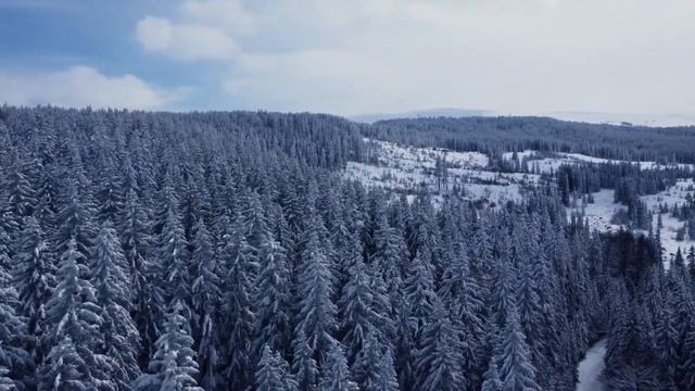 Витоша покрита със сняг