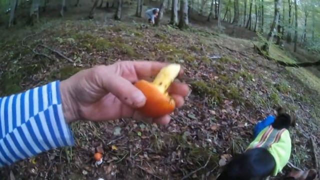 28 октября 2018 г.(1)
