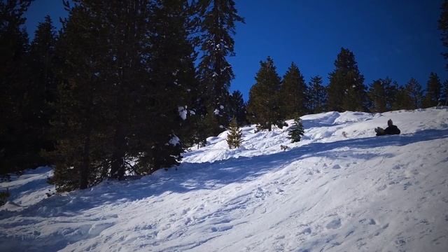 Wolverton Snow Play Area Sequoia National Park