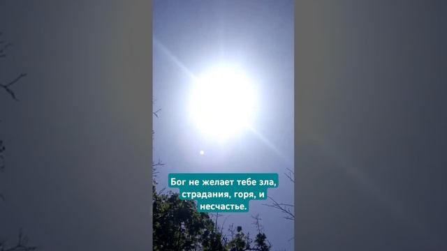 Бог не желает тебе зла, и горя.