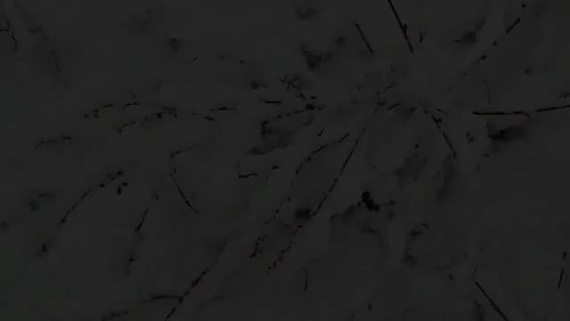 Зима. Снежная красота