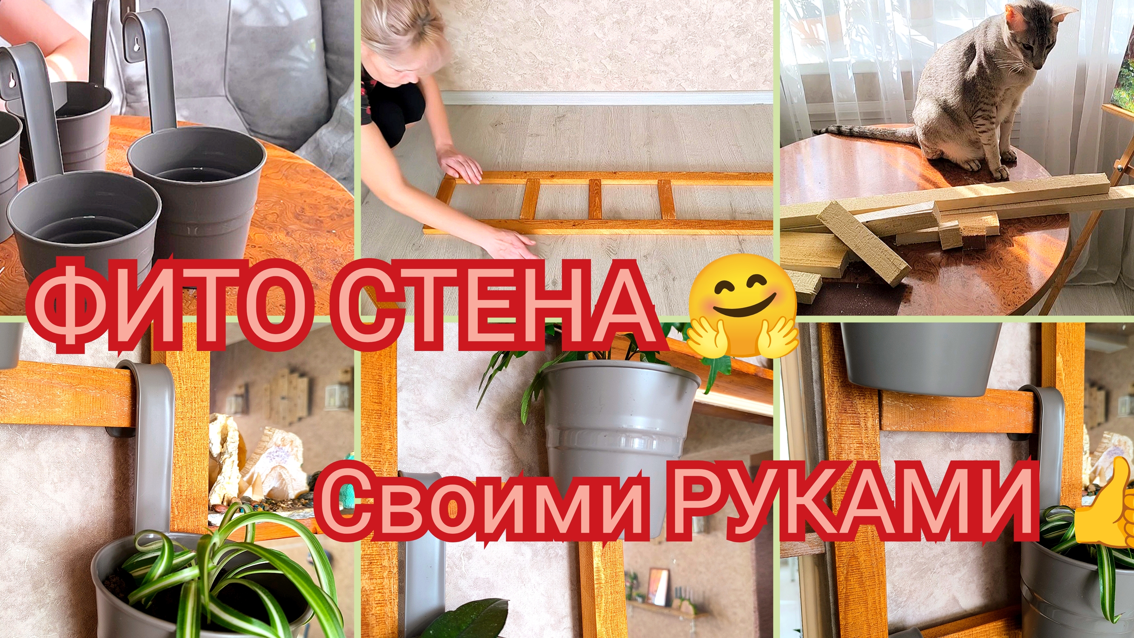 ФИТО СТЕНА 🍀 Своими РУКАМИ 👍