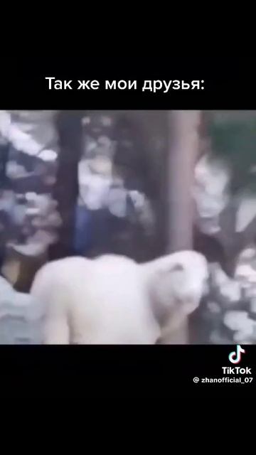 мои спокойные друзья