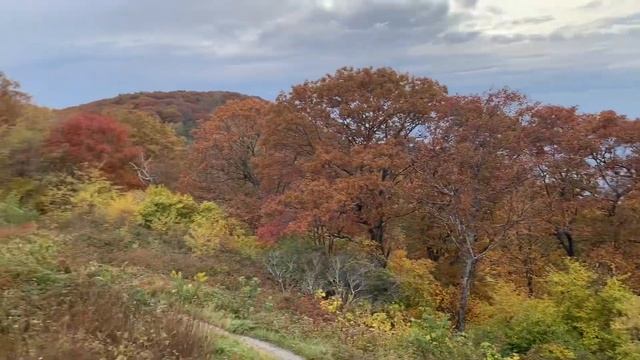 SHENANDOAH   Национальный парк Virginia