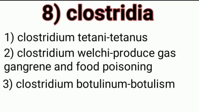 Bacteria and bacterial diseases, important topic of microbiology