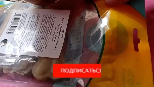 ЩЕНОК РАЗГРЫЗ лежанку\ Купила набор КОСТОЧЕК для собаки\ НОТА опять ПРОКАЗНИЧАЕТ\ Режутся зубы\Такс