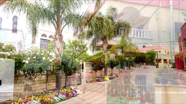 ישראל. כפר עג'ר Израиль. село Аджар Israel. Ajar village