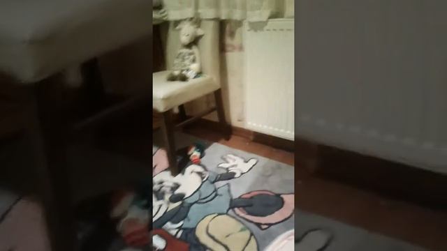 Обзор поні філі