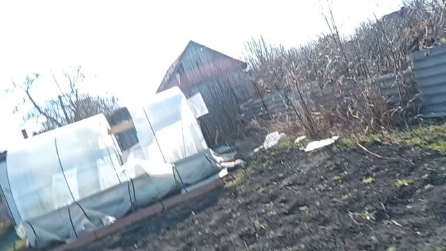водная перчатка