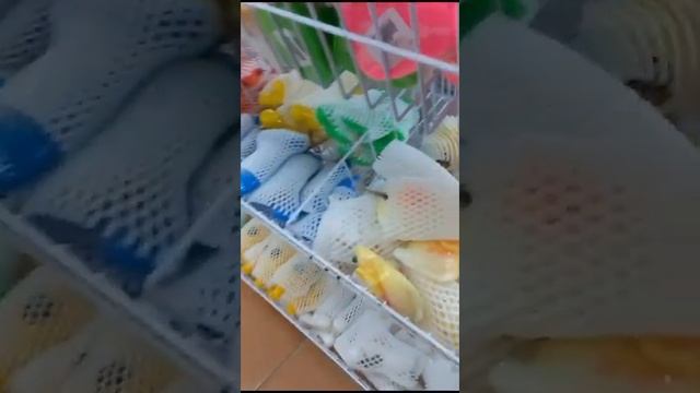 МАГАЗИН СО СЛОНИКОМ ))))