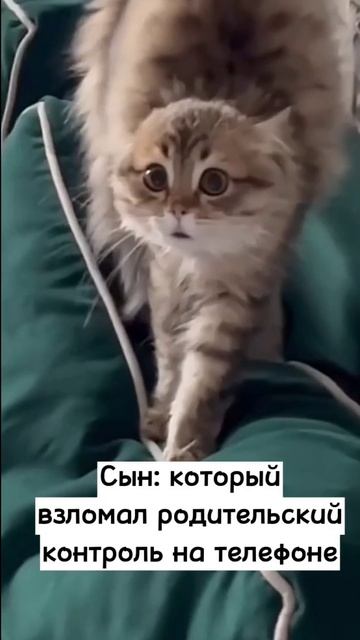 Сын взломал родительский контроль 😭🤣