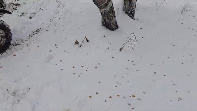По дороге на Ицыл