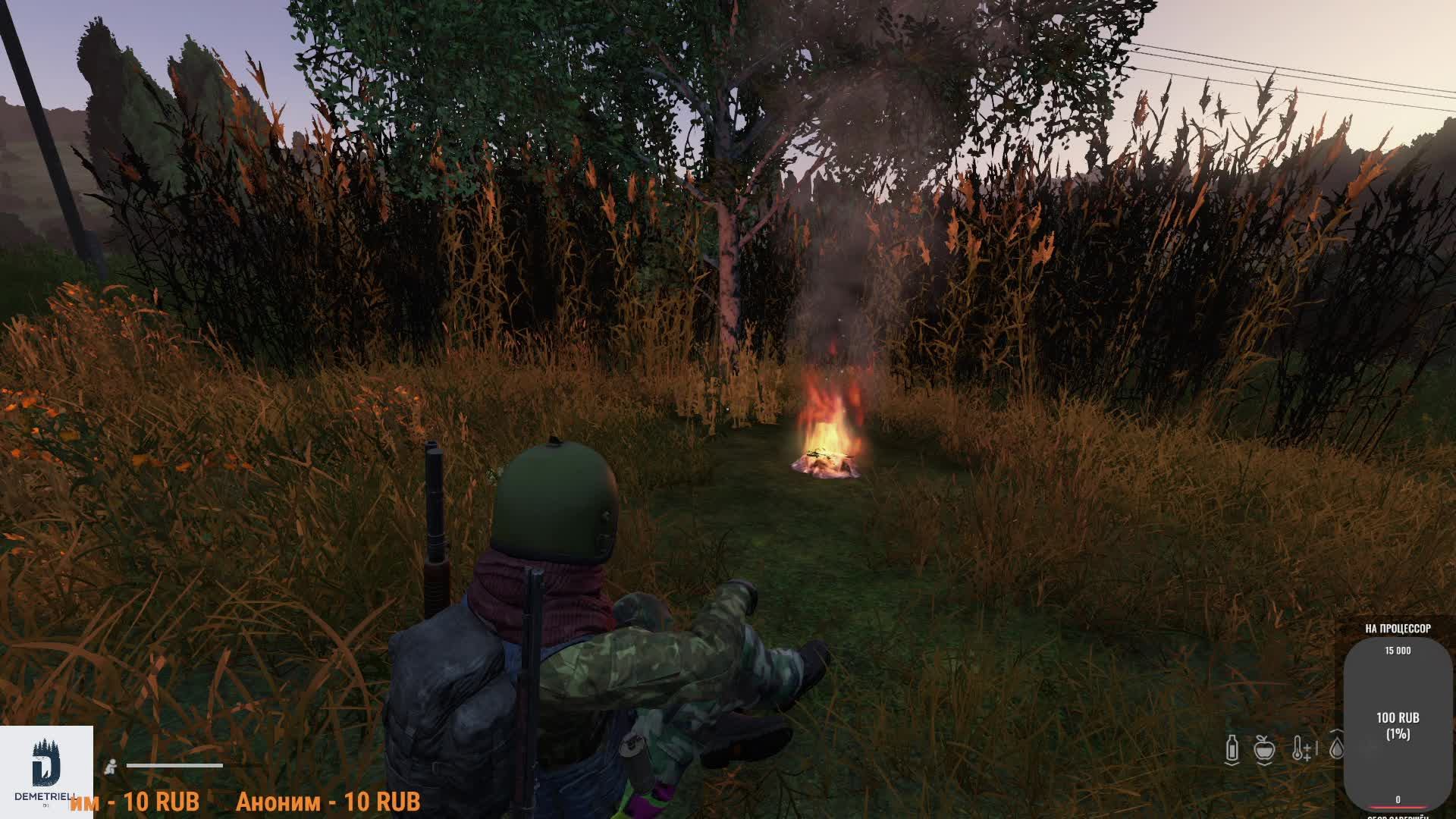 Dayz