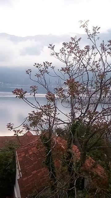 Черногория. Начало дня . Которский залив. Море. Лайнер. Горы. Небо.  Поют птицы. Доброе утро!