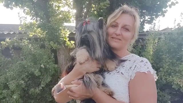 ‼️ШЕДЕВР🔥 Красавчик Дени в поиске семьи Продажа доставка по миру+79788972514💥цена 100т.р