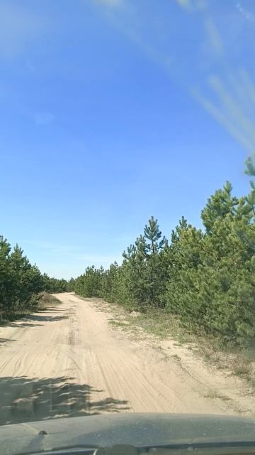 Дорога.