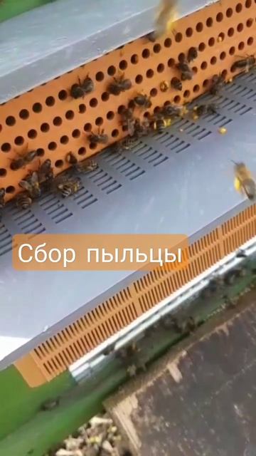 27 апреля 2023 г.