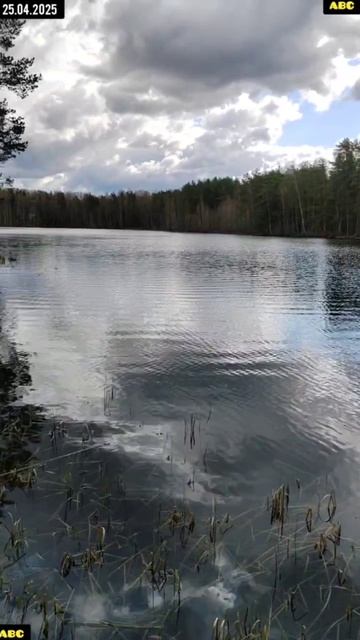 Плавательно-закаливающий сезон 2025 открыт
 #бодрыйдедза65лет #производствостанков