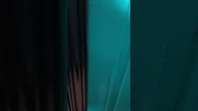 1000002523.mp4