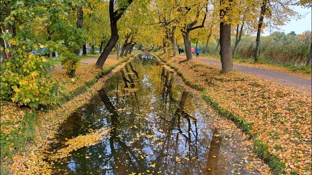 Петергоф Фонтан Осень